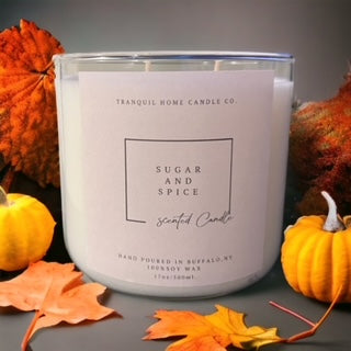 SUGAR & SPICE 17OZ. TWO WICK SCENTED CANDLE