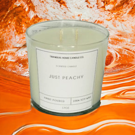 JUST PEACHY 17OZ. TWO WICK SOY CANDLE