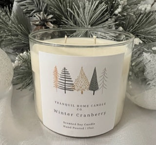 Winter Cranberry 17oz. Two Wick Scented Candle